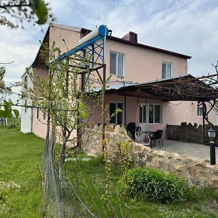 Guesthouse Gareji Udabno Dış mekan fotoğraf