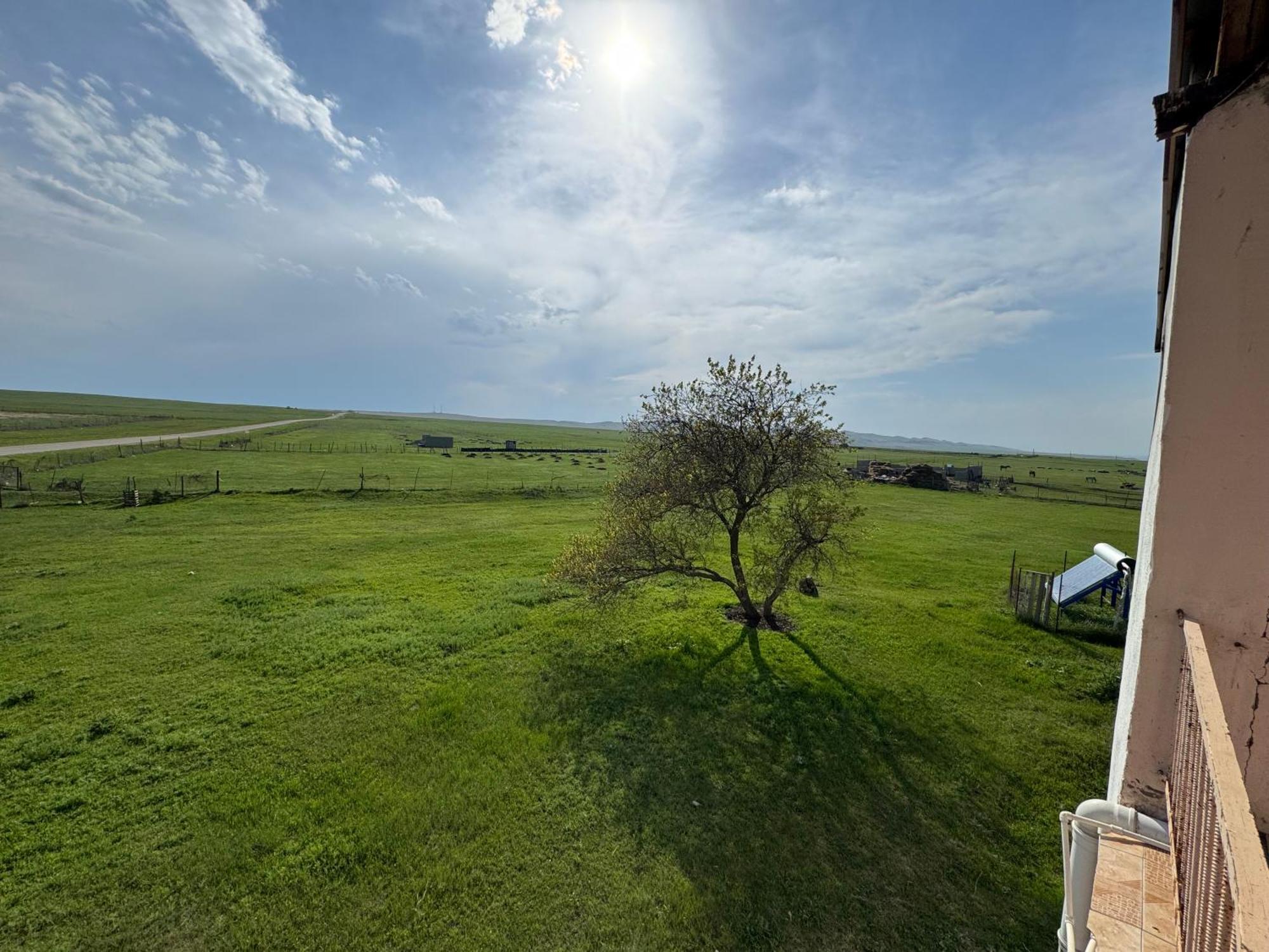 Guesthouse Gareji Udabno Dış mekan fotoğraf